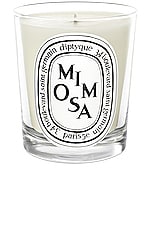 Diptyque Mimosa Scented Candle , view 1, click to view large image.