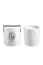Diptyque 34 Indoor And Outdoor Candle , view 2, click to view large image.