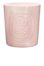 Diptyque Roses Extra Large Candle | FWRD