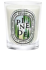 Diptyque Pinede Classic Candle | FWRD
