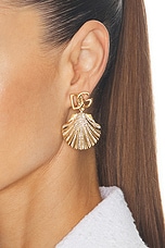 Dolce & Gabbana Shell Earrings in Gold, view 2, click to view large image.