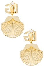 Dolce & Gabbana Shell Earrings in Gold, view 4, click to view large image.