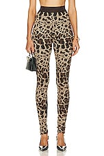 Dolce & Gabbana Stretch Legging in Leopard, view 1, click to view large image.