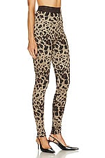 Dolce & Gabbana Stretch Legging in Leopard, view 2, click to view large image.