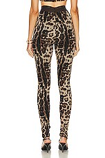 Dolce & Gabbana Stretch Legging in Leopard, view 3, click to view large image.