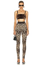 Dolce & Gabbana Stretch Legging in Leopard, view 4, click to view large image.