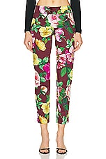 Dolce & Gabbana Floral Pant in Camelia, view 1, click to view large image.
