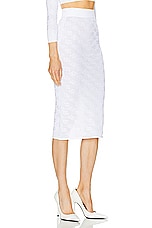 Dolce & Gabbana Sheer Skirt in Bianco, view 2, click to view large image.