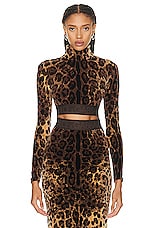Dolce & Gabbana Long Sleeve Top in Leopard, view 1, click to view large image.