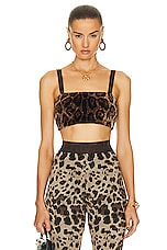 Dolce & Gabbana Bralette Top in Leopard, view 1, click to view large image.