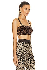 Dolce & Gabbana Bralette Top in Leopard, view 2, click to view large image.
