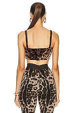 Dolce & Gabbana Bralette Top in Leopard, view 3, click to view large image.