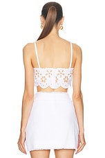 Dolce & Gabbana Bralette Top in Optical White, view 3, click to view large image.