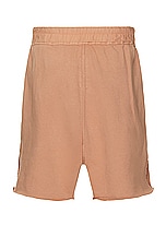 DRKSHDW by Rick Owens Long Boxer in Dark Pink, view 2, click to view large image.