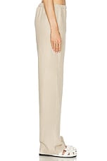 Enza Costa Twill Everywhere Pant in Stone, view 3, click to view large image.
