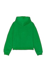 ERL Mens Printed Hoodie Knit in GREEN, view 2, click to view large image.