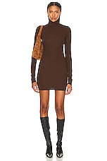 Eterne Long Sleeve Turtleneck Dress in Chocolate, view 1, click to view large image.