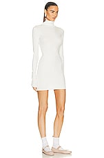 Eterne Long Sleeve Turtleneck Mini Dress in Cream, view 2, click to view large image.