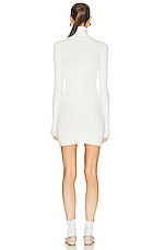 Eterne Long Sleeve Turtleneck Mini Dress in Cream, view 3, click to view large image.