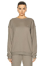 Eterne Oversized Crewneck Sweatshirt in Clay, view 1, click to view large image.