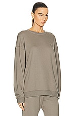 Eterne Oversized Crewneck Sweatshirt in Clay, view 2, click to view large image.