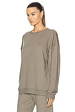 Eterne Oversized Crewneck Sweatshirt in Clay, view 3, click to view large image.