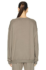 Eterne Oversized Crewneck Sweatshirt in Clay, view 4, click to view large image.