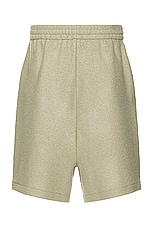 Fear of God Side Stripe Relaxed Short in Dune, view 2, click to view large image.