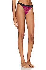 fleur du mal Roxy Lace Thong in Magenta, view 2, click to view large image.