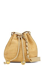 FWRD Renew Chanel Raffia CC Bucket Bag in Brown, view 1, click to view large image.