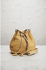 FWRD Renew Chanel Raffia CC Bucket Bag in Brown, view 2, click to view large image.