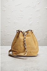 FWRD Renew Chanel Raffia CC Bucket Bag in Brown, view 3, click to view large image.