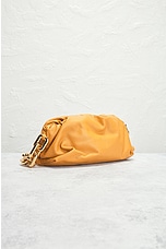FWRD Renew Bottega Veneta The Pouch Chain Bag in Ocra & Gold, view 4, click to view large image.
