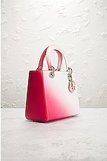 FWRD Renew Dior Lady Handbag in Red Ombre, view 4, click to view large image.