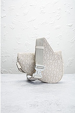 FWRD Renew Dior Trotter Saddle Bag in Ivory, view 3, click to view large image.