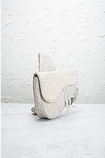 FWRD Renew Dior Trotter Saddle Bag in Ivory, view 4, click to view large image.