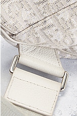 FWRD Renew Dior Trotter Saddle Bag in Ivory, view 8, click to view large image.