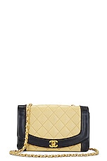 FWRD Renew Chanel Diana Bicolor Lambskin Quilted Shoulder Bag in Beige, view 1, click to view large image.