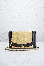 FWRD Renew Chanel Diana Bicolor Lambskin Quilted Shoulder Bag in Beige, view 2, click to view large image.