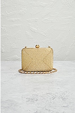FWRD Renew Chanel Raffia Chain Shoulder Bag in Beige, view 2, click to view large image.