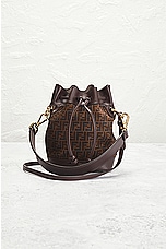 FWRD Renew Fendi Zucchino Mon Tresor Bucket Bag in Brown, view 2, click to view large image.