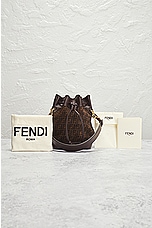FWRD Renew Fendi Zucchino Mon Tresor Bucket Bag in Brown, view 8, click to view large image.