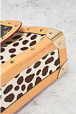 FWRD Renew Louis Vuitton Dalmatian Sac Rabat Hand Bag in Multi, view 7, click to view large image.