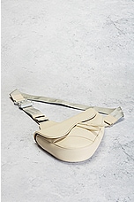 FWRD Renew Dior Leather Saddle Waist Bag in Cream, view 4, click to view large image.
