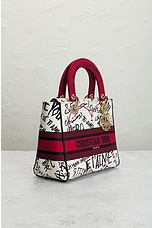 FWRD Renew Dior Lady Canvas Handbag in Multi, view 4, click to view large image.