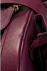 FWRD Renew Dior Double Saddle Bag in Wine, view 8, click to view large image.