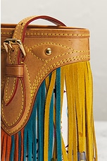 FWRD Renew Louis Vuitton X Murakami Monogram Fringe Bucket Bag in Multi, view 8, click to view large image.