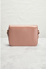 FWRD Renew Celine Triomphe Classique Shoulder Bag in Pink, view 3, click to view large image.