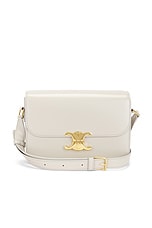 FWRD Renew Celine Calfskin Triomphe Shoulder Bag in Light Stone, view 1, click to view large image.