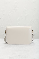 FWRD Renew Celine Calfskin Triomphe Shoulder Bag in Light Stone, view 3, click to view large image.